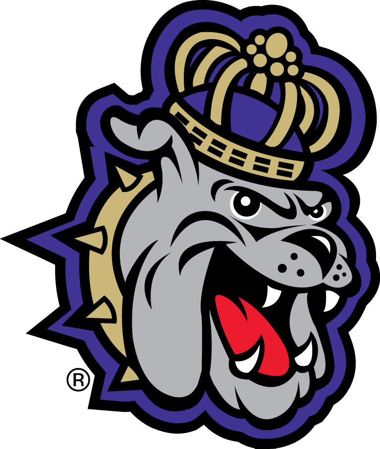 James Madison Dukes 2013-2016 Alternate Logo v2 diy iron on heat transfer